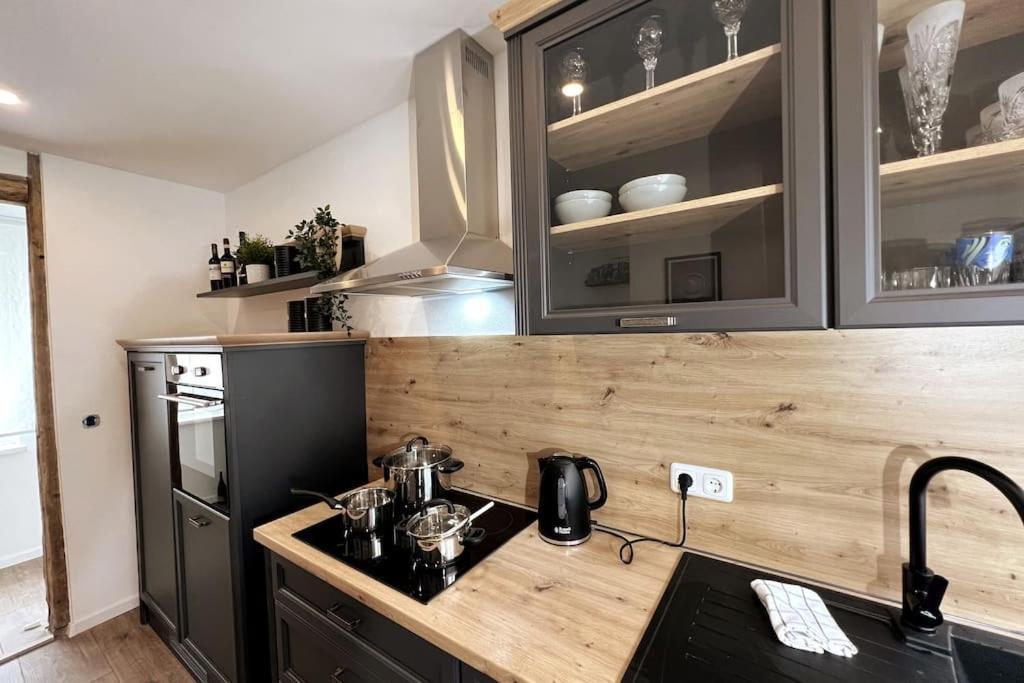 Ar Apartments III I 4 Pers I Modern I Schillerapartment Rudolstadt Exterior photo